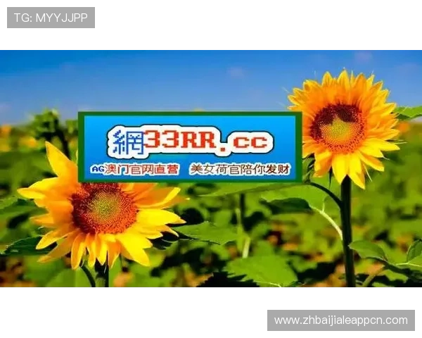 bg视讯各大平台最新全面介绍,助你轻松选择最优游戏平台体验 bg视讯各大平台最新全面介绍,助你轻松选择最优游戏平台体验