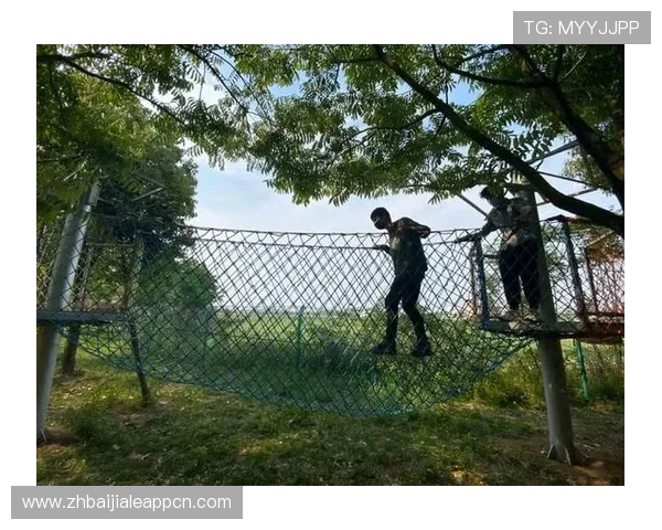 如何快速找到真人滚球官方地址，确保您的游戏体验无忧无虑