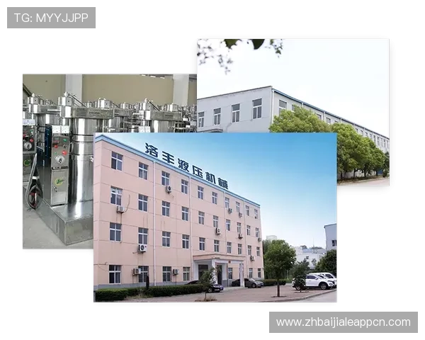 瑞丰乐投letou:安全保障措施与风险控制策略详解 瑞丰乐投letou:安全保障措施与风险控制策略详解