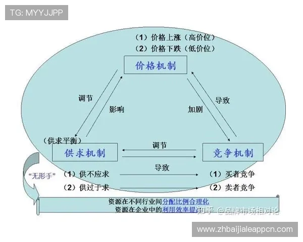 选择优质轮盘网站的五大关键因素及其对玩家体验的深度影响