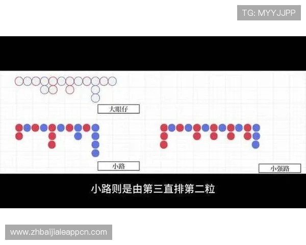 如何选择最佳百家乐模拟软件：细节决定成败的实用指南