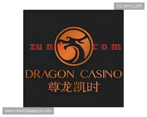 尊龙凯时百家乐官网多重安全措施保障玩家资金与个人信息安全