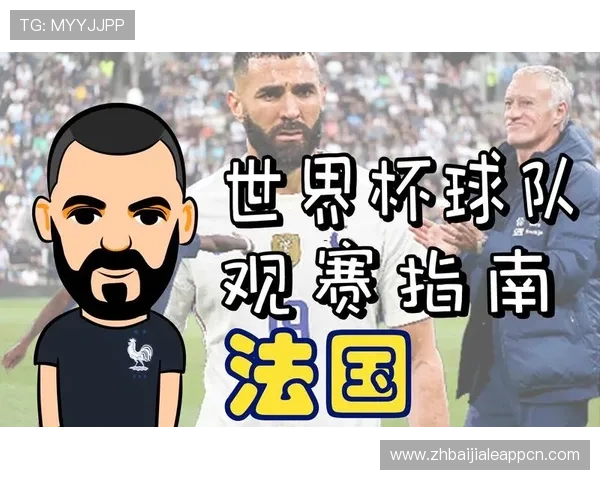 世界杯加拿大现场观赛指南：详细攻略助你零距离感受足球盛宴